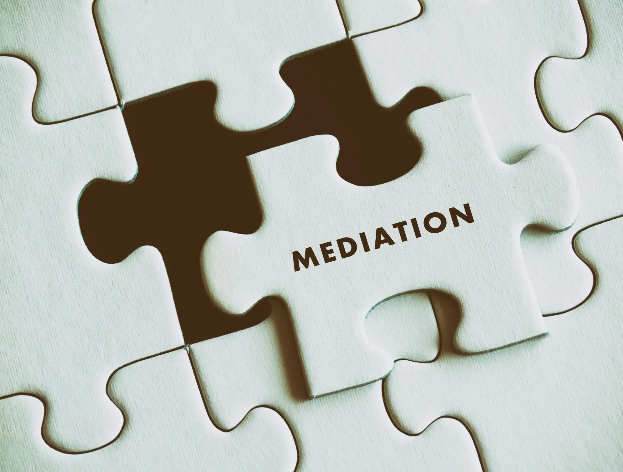 Mediation Puzzle Piece